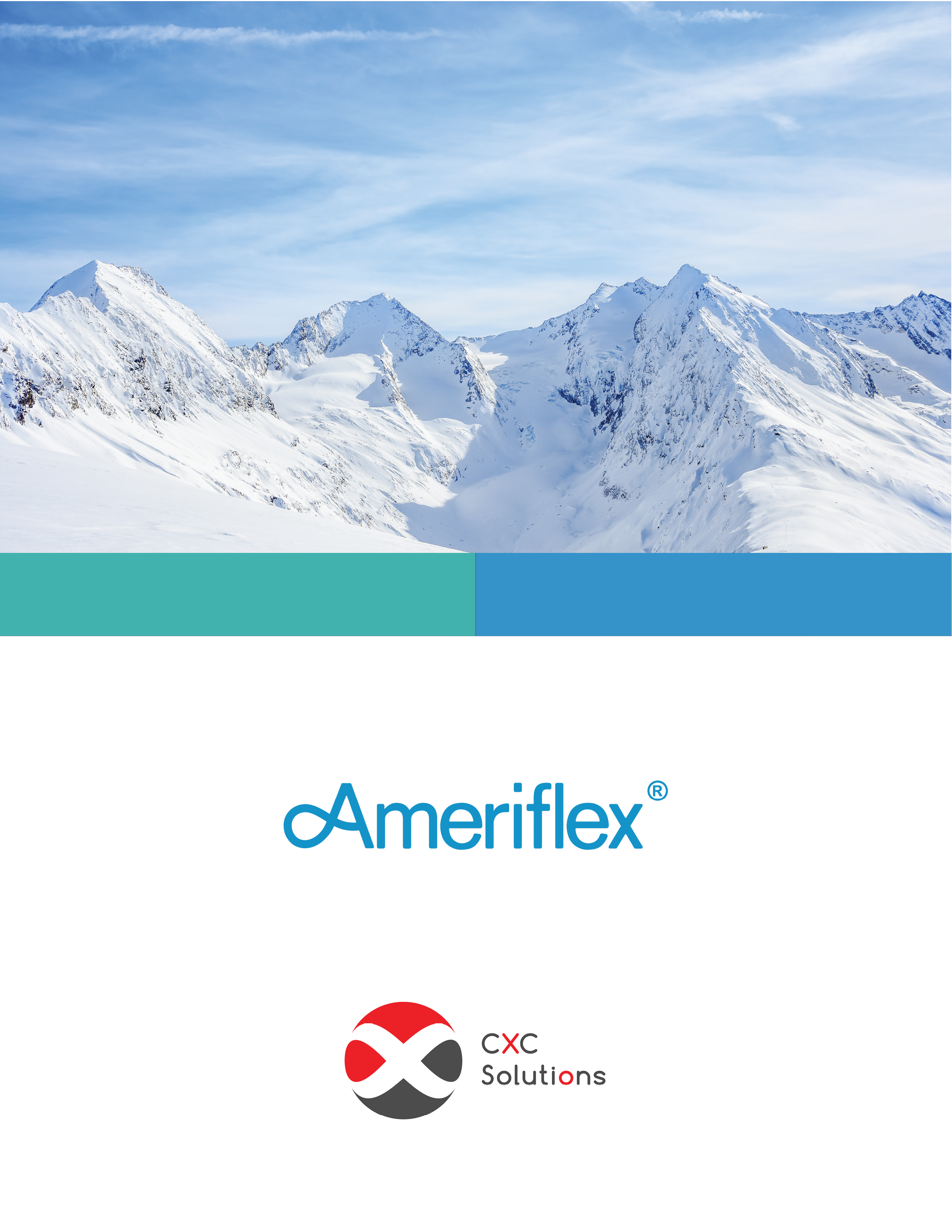 Ameriflex case study Cover Page